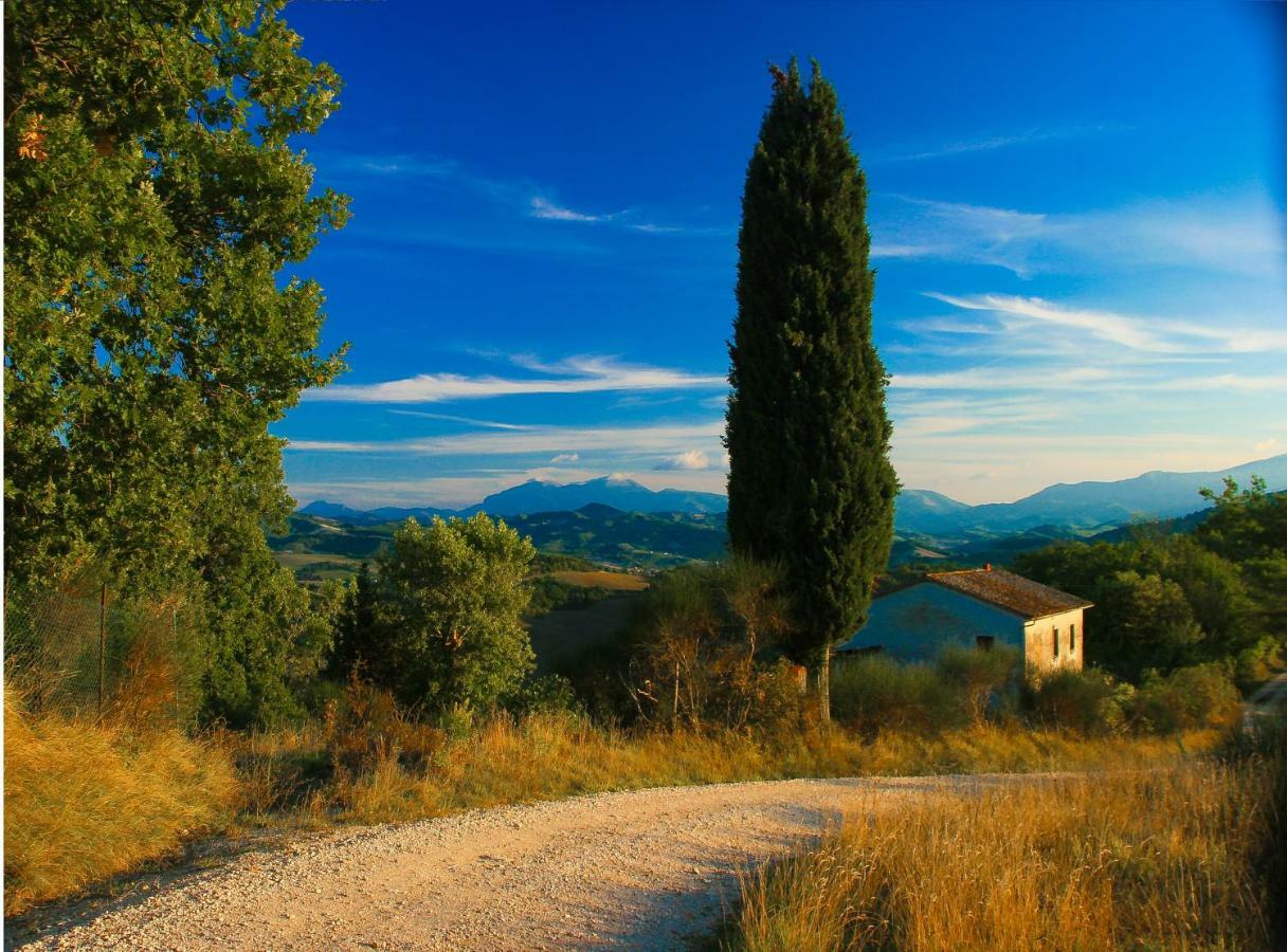 Ca'Lavalle B&B Urbino Kültér fotó